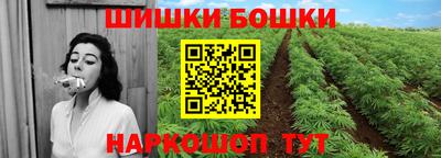 СК Гусев